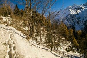 chamonix, alta Saboya, Francia foto