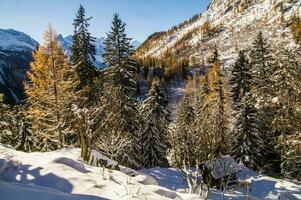 chamonix ,haute savoie,france photo