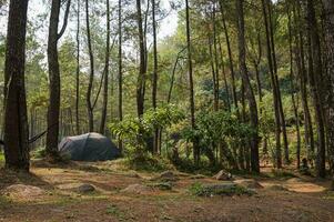 Camp site in the forest, campground at Bedengan, East Java, Indonesia photo