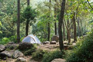 Camp site in the forest, campground at Bedengan, East Java, Indonesia photo