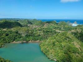 el río desde ungapan playa y tropical arboles en el del Sur ruta de Java isla foto