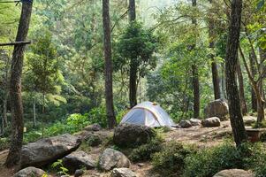 Camp site in the forest, campground at Bedengan, East Java, Indonesia photo