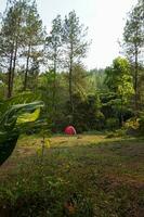Camp Site in the forest, campground at Bedengan, East Java, Indonesia photo