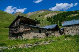 bois noir ceillac queyras in hautes alpes in france photo