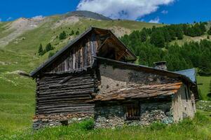 bois noir ceillac queyras in hautes alpes in france photo