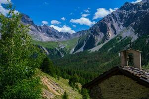 bois noir ceillac queyras in hautes alpes in france photo