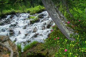 ceillac queyras in hautes alpes in france photo