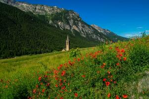 ceillac queyras in hautes alpes in france photo