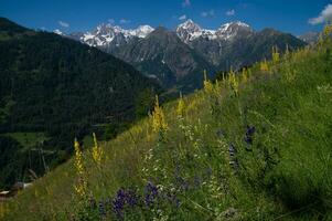 commeire in orsieres ,valais,swiss photo