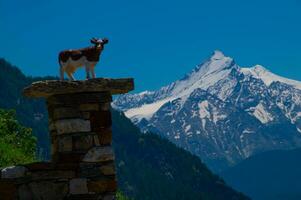 cheversel en val aoste ,Italia foto