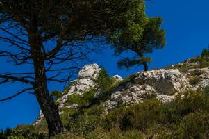 national park calanques marseille in bouche du rhone photo