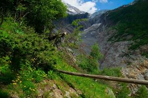 argentino ,chamonix,alta Saboya, Francia foto