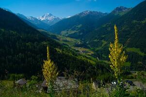 commeire in orsieres ,valais,swiss photo