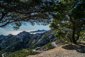 national park calanques photo