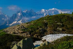 cabra montés,cheserys, en argentiere, chamonix, alta Saboya, Francia foto