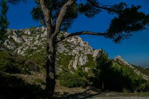 nacional parque calanques foto