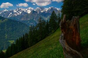 commeire in orsieres ,valais,swiss photo