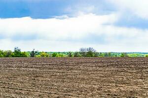 Photography on theme big empty farm field for organic harvest photo