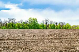 Photography on theme big empty farm field for organic harvest photo