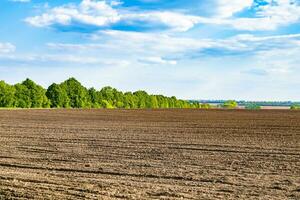 Photography on theme big empty farm field for organic harvest photo