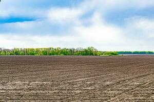 Photography on theme big empty farm field for organic harvest photo