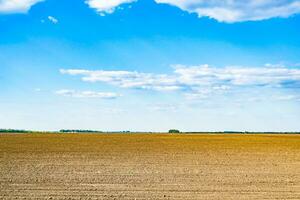 Photography on theme big empty farm field for organic harvest photo