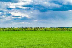 hermoso paisaje de horizonte en la pradera del pueblo sobre fondo natural de color foto