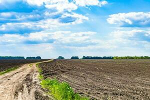 fotografía sobre el tema gran campo agrícola vacío para la cosecha orgánica foto