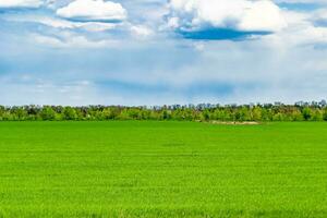 hermoso paisaje de horizonte en la pradera del pueblo sobre fondo natural de color foto