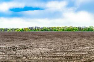 Photography on theme big empty farm field for organic harvest photo