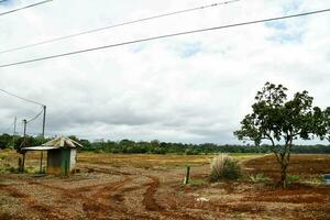 a dirt road with a small house and power lines photo