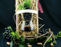 wine grapes and wine leaves in the old land next to Hamburg photo