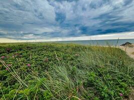 Impressions of the endless beach at the northern sea in Blavand Denmark photo