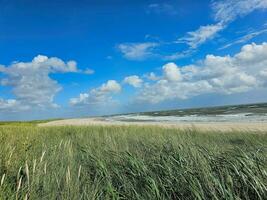 Impressions of the endless beach at the northern sea in Blavand Denmark photo