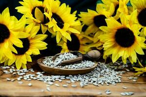 girasol helianthus annuus semillas en aceituna madera foto