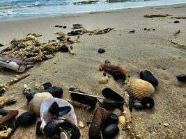 Impressions of the endless beach at the northern sea in Blavand Denmark photo