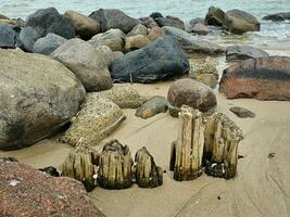 impresiones de el interminable playa a el del Norte mar en blavand Dinamarca foto