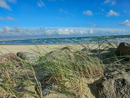 Impressions of the endless beach at the northern sea in Blavand Denmark photo