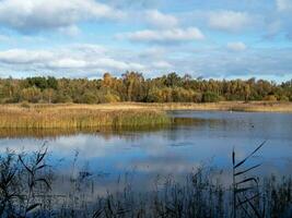 Wetland habitat at Potteric Carr, South Yorkshire, England photo