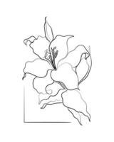 línea Arte vector de lirio. lirio flor resumen Arte