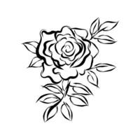 Line art vector of rose.