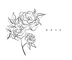 Line art vector of rose.