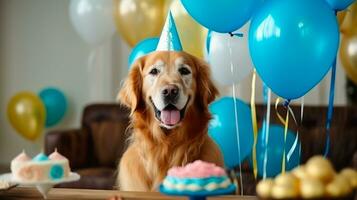 Cute Golden Retriever dog with birthday cake and balloons at home. Generative AI photo