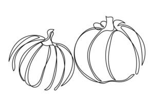 Continuous line art of pumpkins. vector