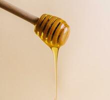 Liquid Gold Honey Dripping from Dipper photo