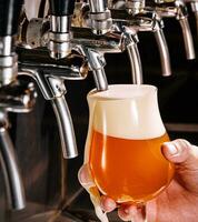 Bartender pouring fresh beer into glass in pub photo