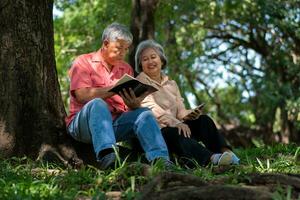 feliz pareja de ancianos cónyuges relajándose y sentándose en una manta en el parque y compartiendo algunos recuerdos preciosos. pareja mayor pasando un buen rato juntos en un picnic. concepto de relaciones maduras foto