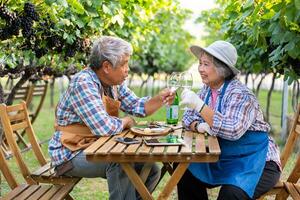 Portrait of senior winemaker holding in his hand a glass of new white wine. Smiling happy elderly couple enjoying a picnic together in own vineyard. Agricultural concept, Small business, retirement photo