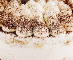 homemade tiramisu cake sprinkled with cocoa powder on plate photo