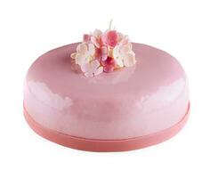 rosado mousse pasteles decorado en blanco plato foto